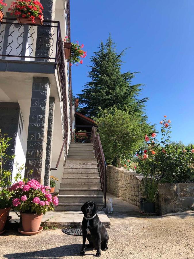 Apartman Villa Romana Грожнян Экстерьер фото